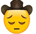 :sad-cowboy:
